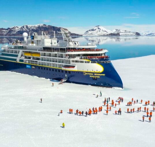 Cruise Groups Financial Review