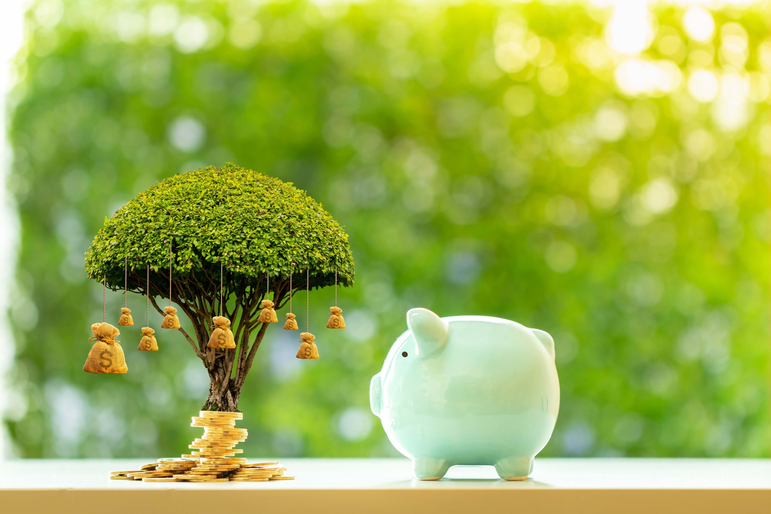 Major Cruise Groups Performance Review